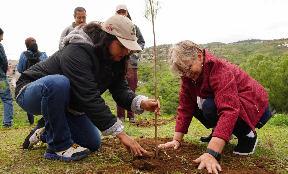 Gobierno de La Paz, CONAGUA y Universidad de Chapingo impulsan reforestación masiva en el Deportivo Soraya Jiménez
