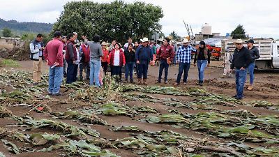 Gobierno del Edomex inicia censo y apoyos para productores afectados por lluvias en Santiago Tianguistenco