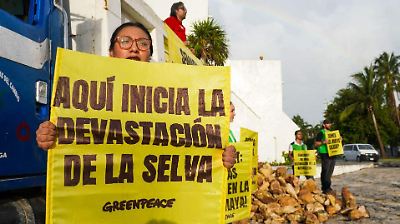 Greenpeace denuncia expansión de bancos de extracción pétrea vinculados al Tren Maya y exige acciones inmediatas