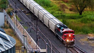 Grupo México busca financiamiento de 100 millones de dólares en EE.UU. para renovar su flota ferroviaria