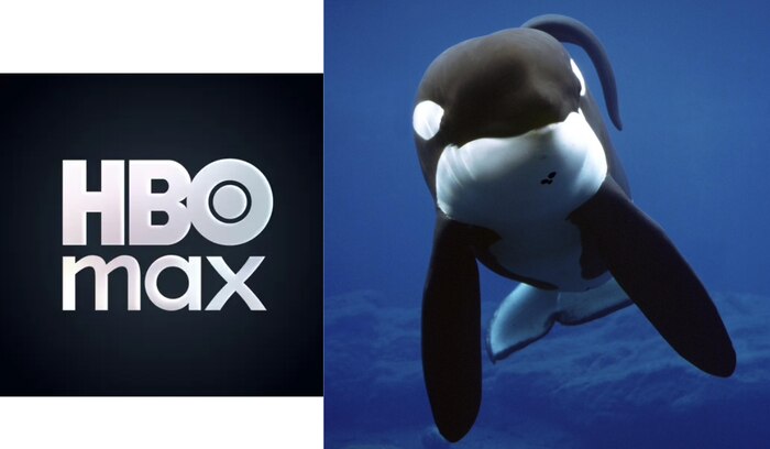 HBO presenta ‘Liberen a Willy’: La historia real y emotiva de Keiko, la orca que conquistó al mundo