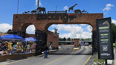 Habitantes de Calimaya podrán visitar gratis el Parque Ecológico Zacango