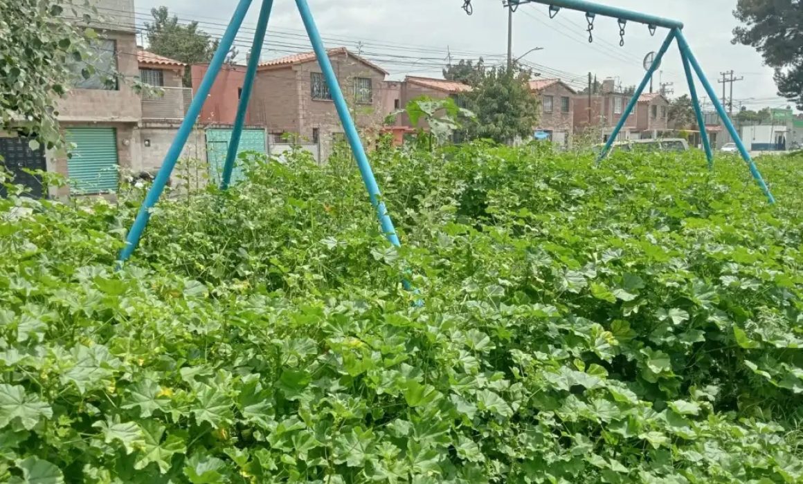 Habitantes de Chicoloapan exigen reactivar y asegurar parques y espacios deportivos