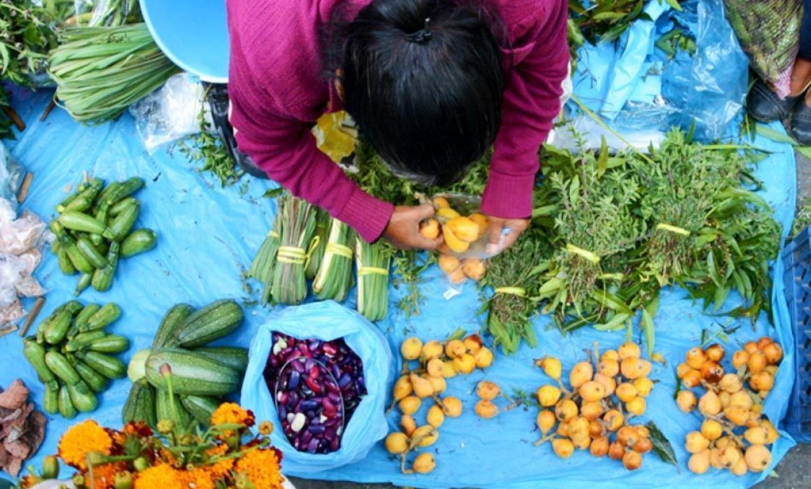 Habitantes de Popo Park rechazan reubicación del Tianguis Ganadero en Ozumba