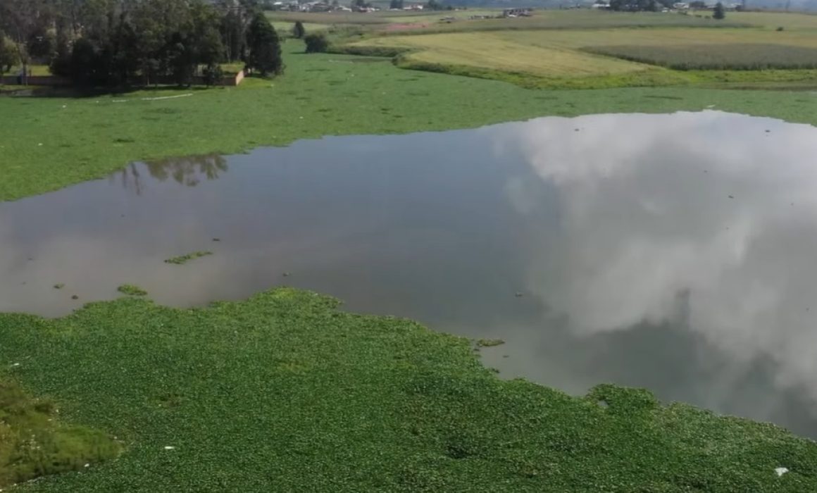 Hallan cadáver en presa José Antonio Álzate entre Toluca y Temoaya; sospechan arrastre por corrientes