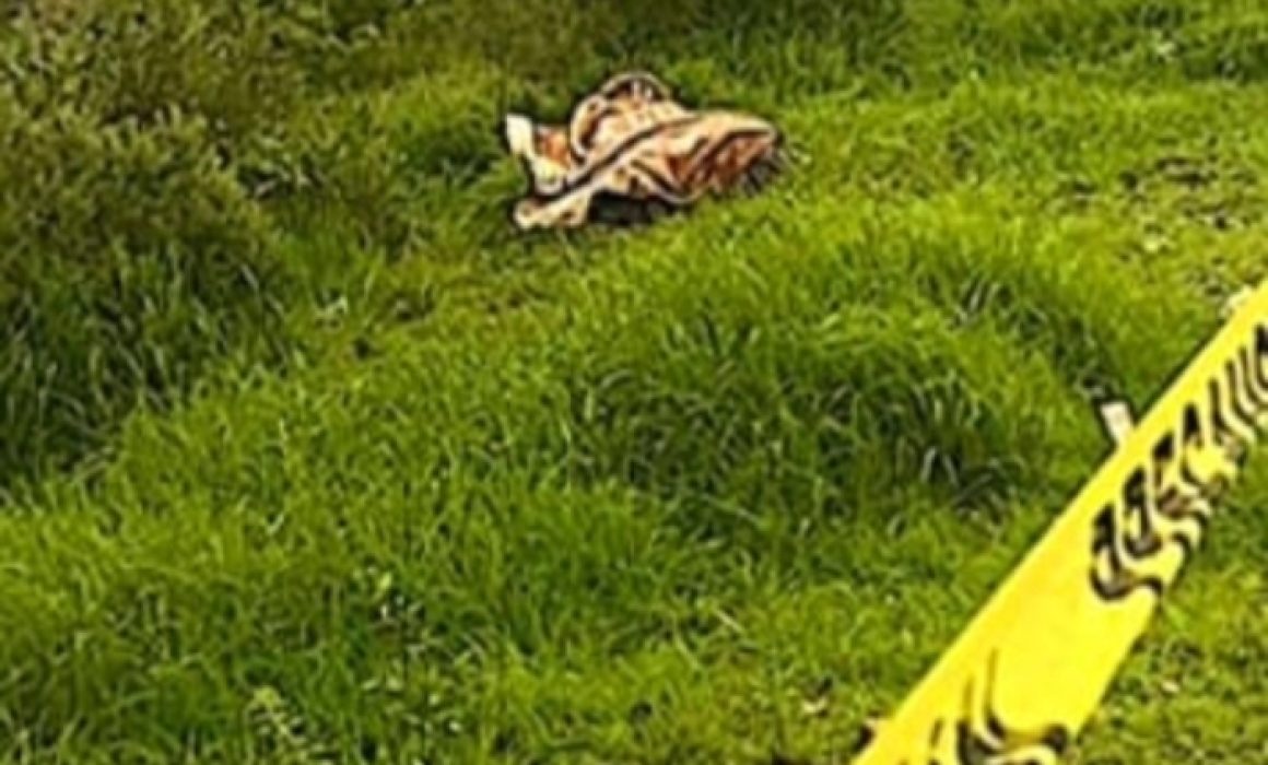 Hallan cadáver maniatado y cobijado en Temoaya; sospechan conflictos entre grupos criminales