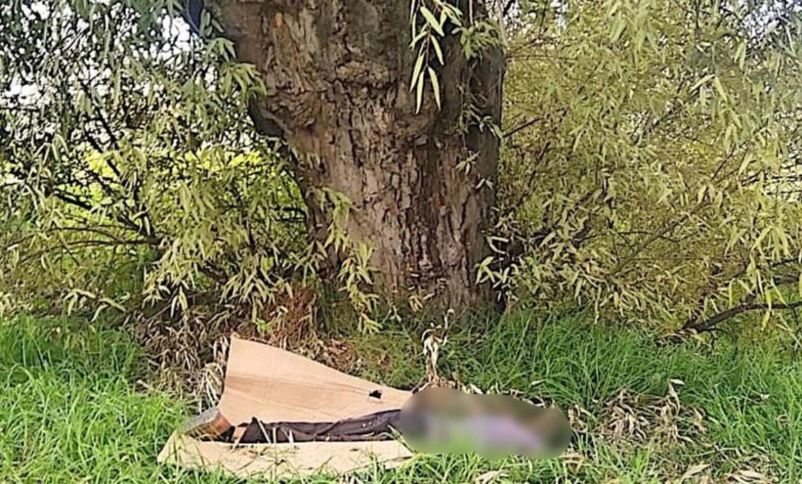 Hallan cuerpo con signos de violencia en San Pedro Tultepec, Lerma