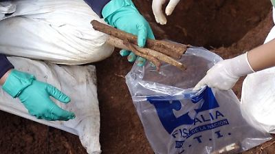 Hallan en Guaviare los cuerpos de ocho líderes sociales y religiosos desaparecidos en medio del conflicto armado en Colombia