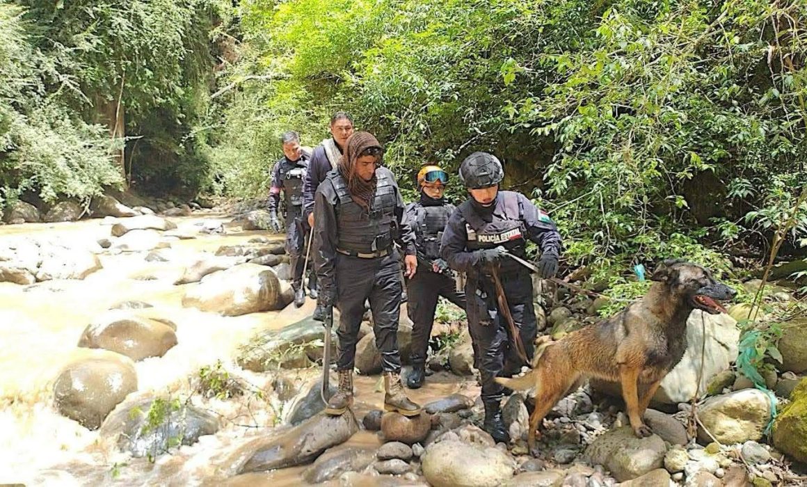 Hallan en Ixtapan de la Sal restos óseos y cuerpo en avanzado estado de descomposición en barranca