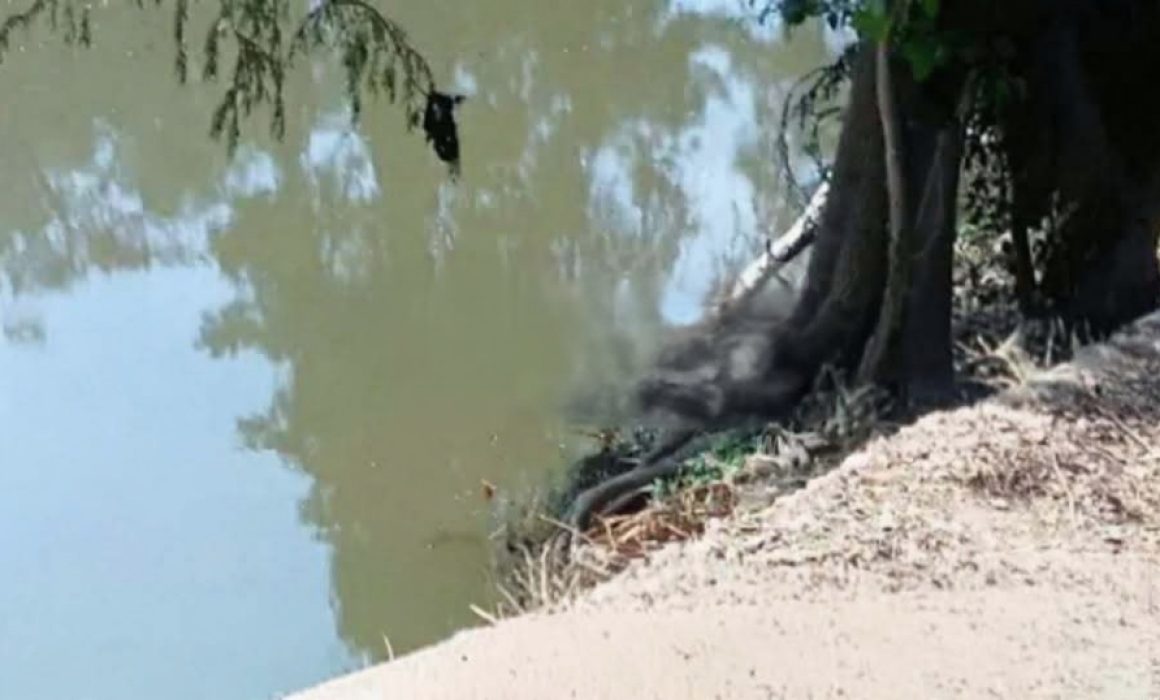 Hallan en Ixtlahuaca cuerpo mutilado con signos de tortura y tiros en río Lerma