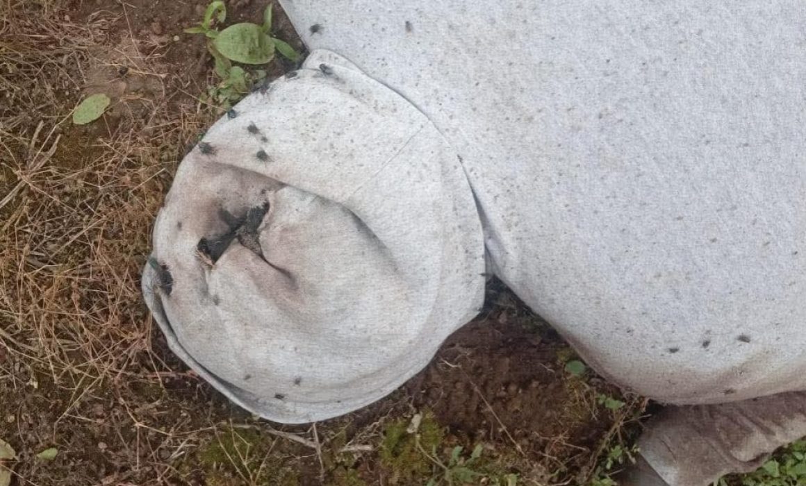 Hallan sin vida a Efrén N. en San Juan Tepecoculco, Atlautla, en medio de reclamos por inseguridad