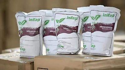 Hasta el 15 de agosto, extensionan apertura para registro en Fertilizantes para el Bienestar en Edomex