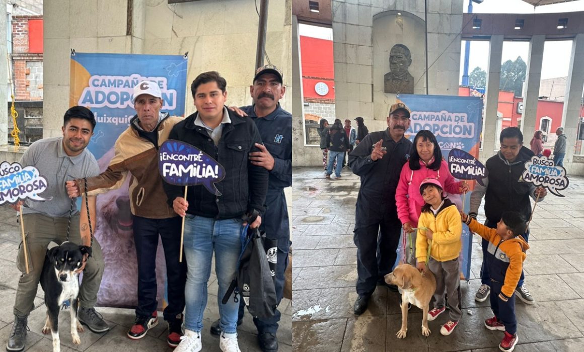 Huixquilucan ha ayudado a más de 350 perros en su centro de adopciones y promueve la cultura de responsabilidad animal