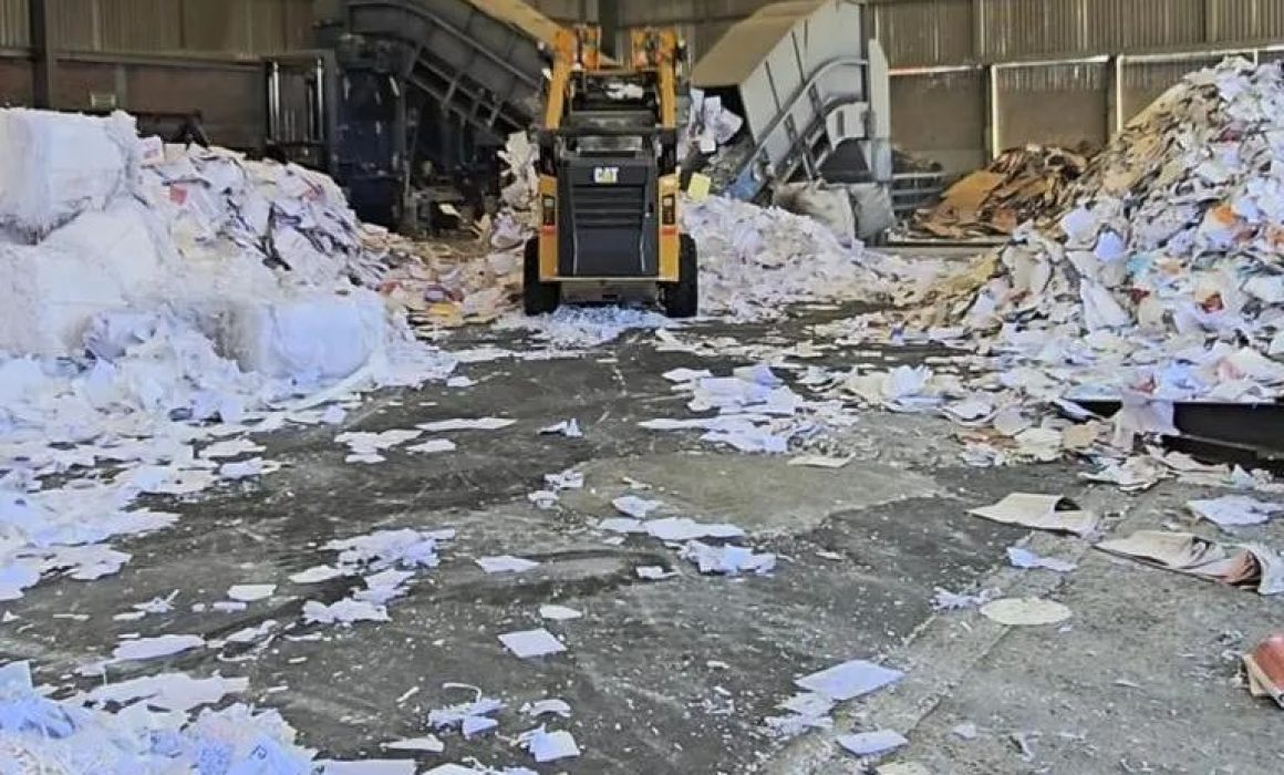 IEEM impulsa la sostenibilidad ecológica reciclando más de 176 toneladas de papel electoral