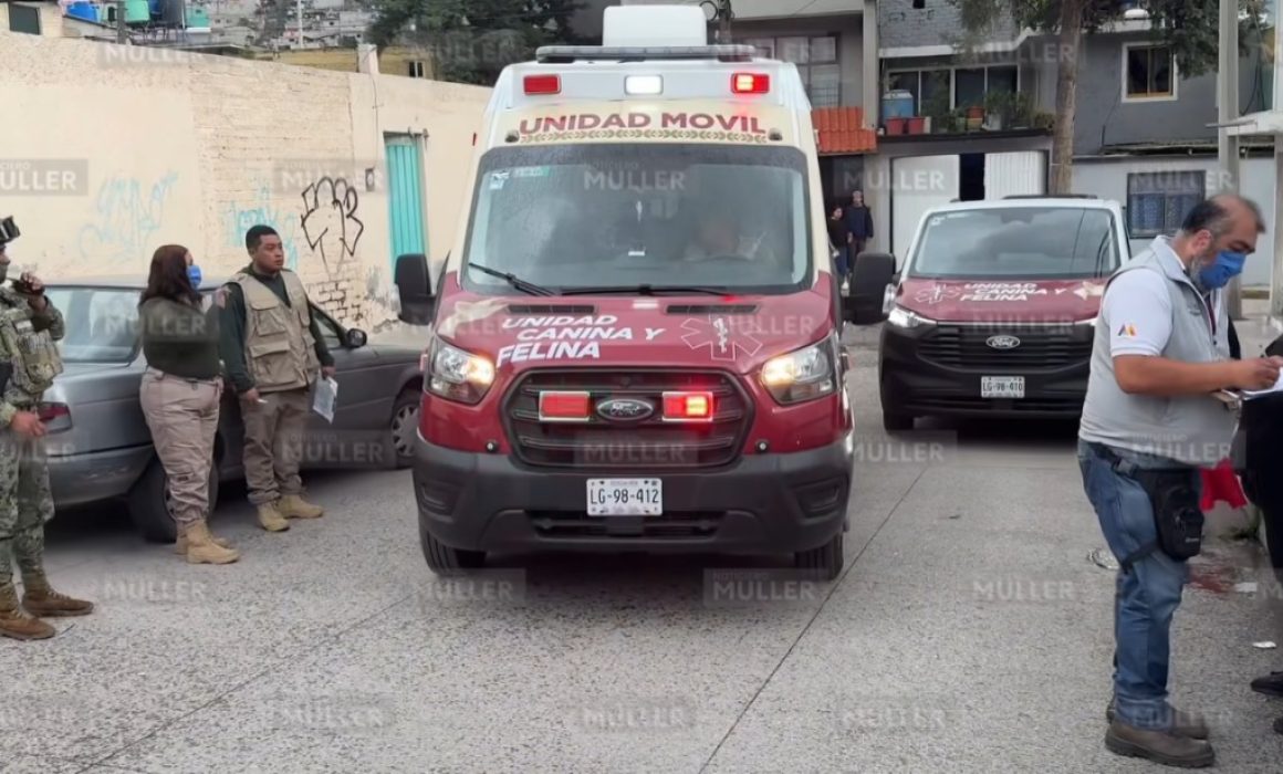 Implementan operativo y rescatan a 20 animales en situación de maltrato en Ecatepec