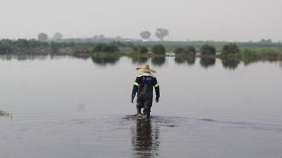 Impulsa Tonanitla jornada de limpieza para revitalizar la laguna El Charco y promover el turismo local
