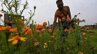 Impulsan integración de medicinas ancestrales, como la terapia floral, al sistema de salud del Estado de México