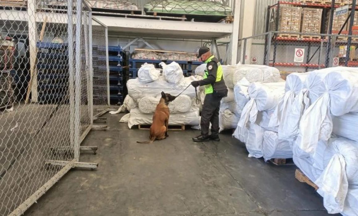 Incautan 75 rollos de fentanilo en el Aeropuerto Internacional Felipe Ángeles