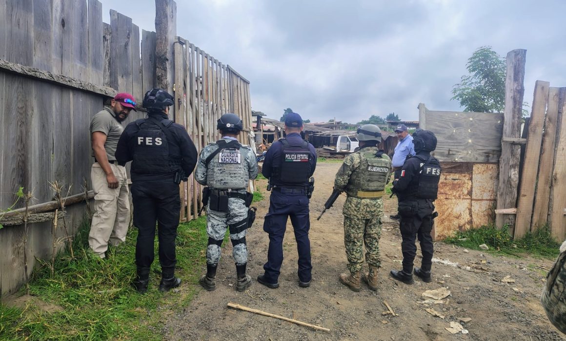 Incautan madera ilegal y clausuran tres aserraderos en Amecameca y San Pedro Nexapa