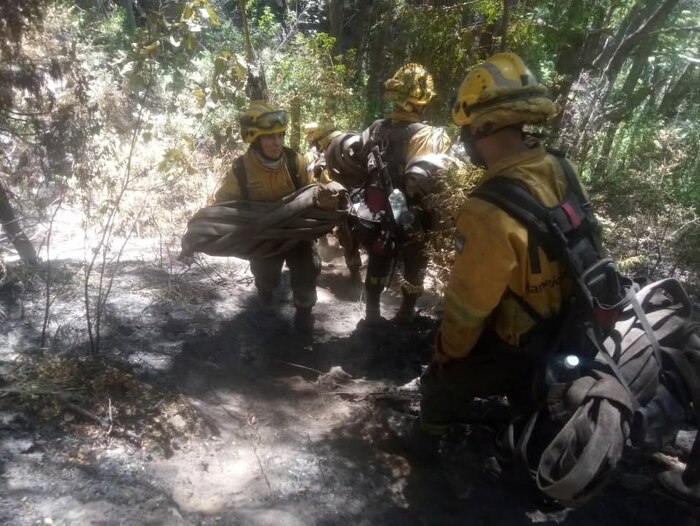 Incendios en Chubut: más de 500 brigadistas combaten el fuego y afectan 45,000 hectáreas
