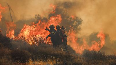 Incendios en Grecia y Turquía obligan a evacuar a miles en zonas turísticas