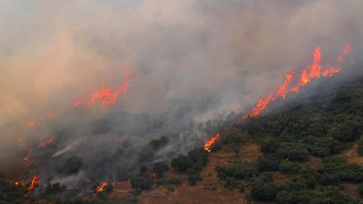 Incendios en el noroeste de España se expanden y generan devastación en varias regiones