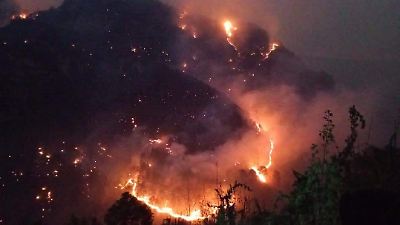 Incendios forestales afectan tres municipios del Edomex