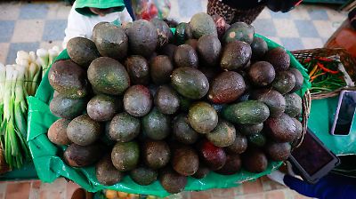 Incremento de hasta 50% en productos básicos en el Valle de Toluca: aguacate, chayote y huevo entre los más afectados