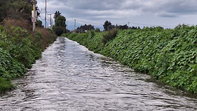 Incremento del Río Verdiguel en Otzolotepec genera preocupación por posible desborde y daños a habitantes