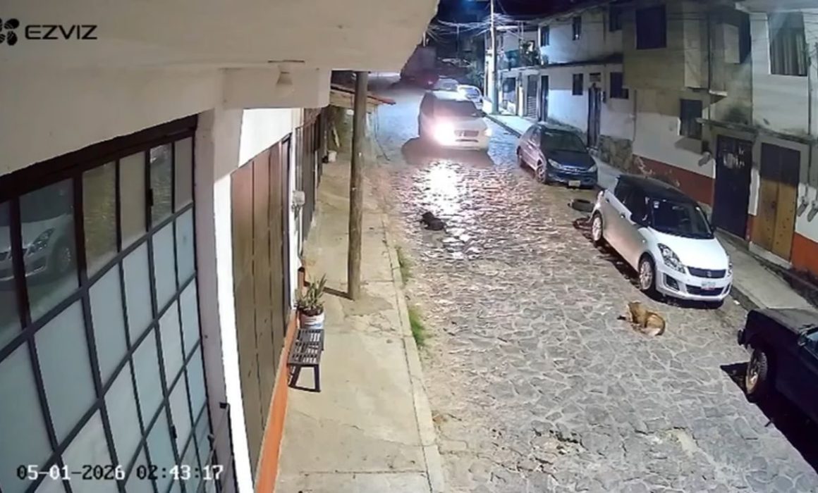 ¡Indignación en Valle de Bravo! Conductor atropella intencionalmente a un perro y huye sin remordimientos