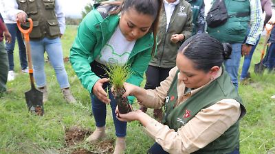 Inició en Ozumba la Restauración Forestal en la Zona Oriente del Estado de México