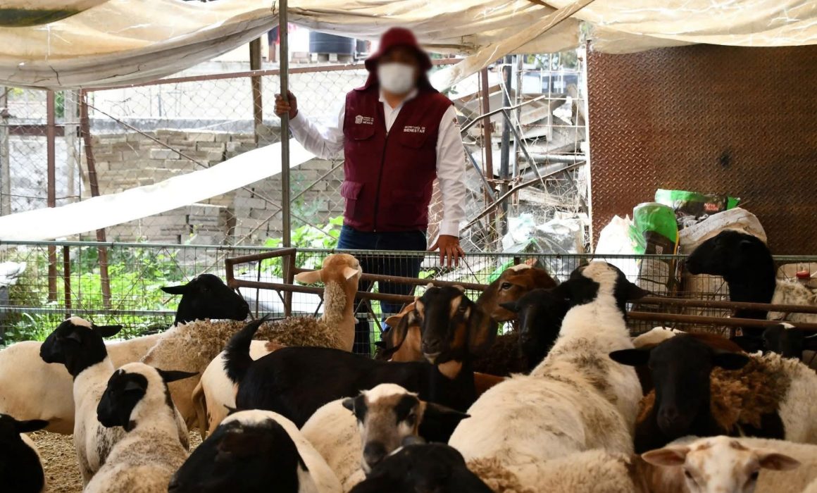 Inicia la distribución de bienes incautados en la Operación Liberación en Ixtapan de la Sal