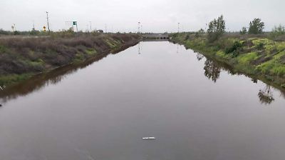 Iniciativa de recuperación del Lago de Texcoco busca revitalizar flora, fauna y economía local