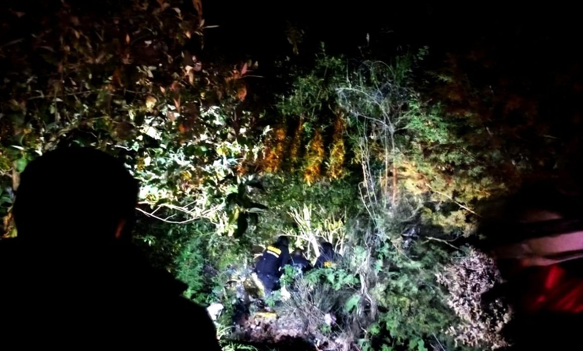 Inquietante hallazgo en Otzolotepec: ¿Qué ocultaban en esa zona boschosa?