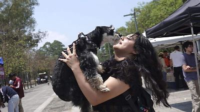 Jóvenes en México eligen mascotas sobre tener hijos por factores económicos y sociales