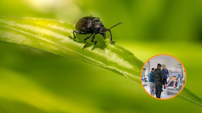 Joven británico de 19 años desaparece en la selva tailandesa y aparece vivo tras 10 días alimentándose de insectos