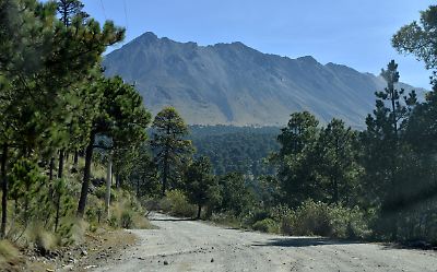 ‘La Tala clandestina es un problema que ya se salió de las manos’: alcalde de Zinacantepec