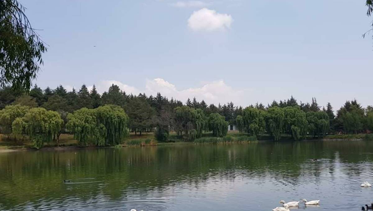 La remodelación de la Alameda en Toluca potenciará un circuito de parques y áreas verdes en la ciudad