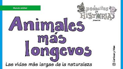 Las especies más longevas del mundo: alcanzan más de 200 años de vida