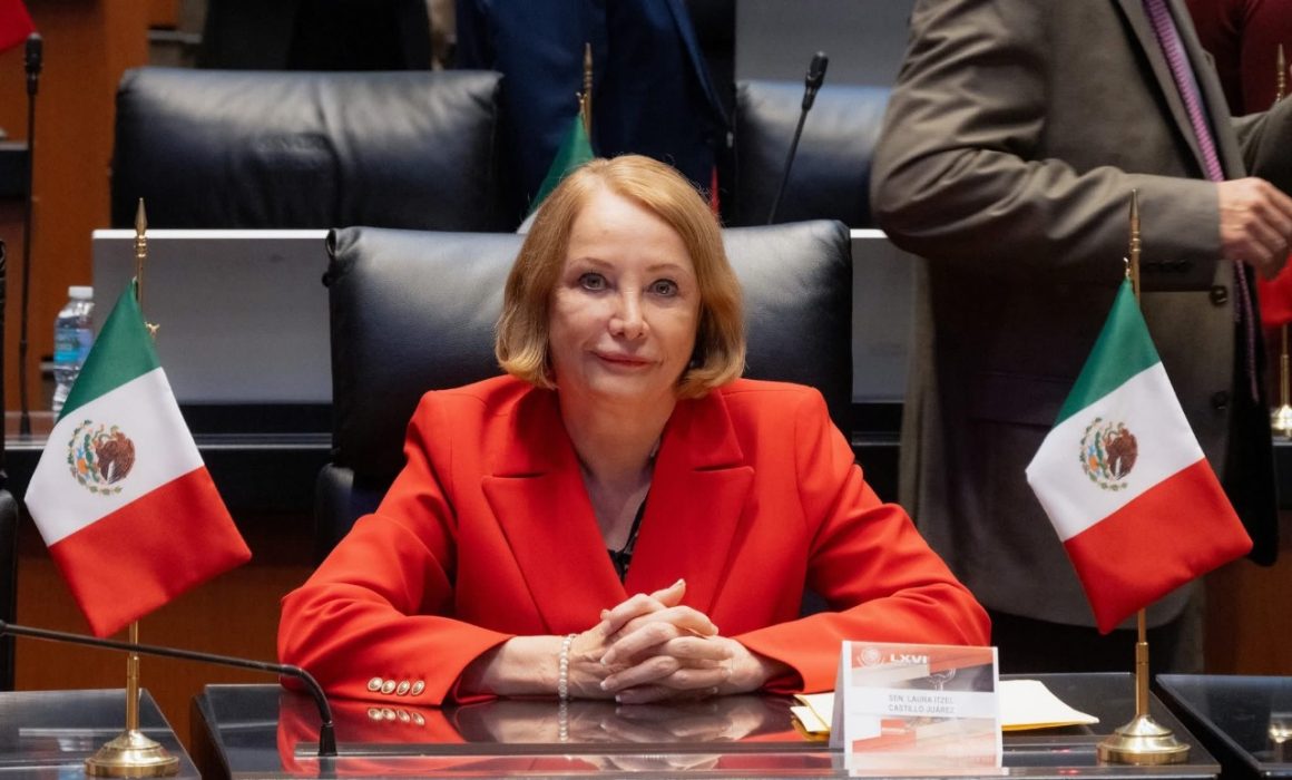 Laura Itzel Castillo: su liderazgo reafirma la consolidación de la 4T en el Senado