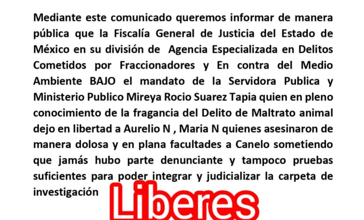 Liberan a presuntos responsables de maltrato a perro en Texcoco por falta de denuncia formal