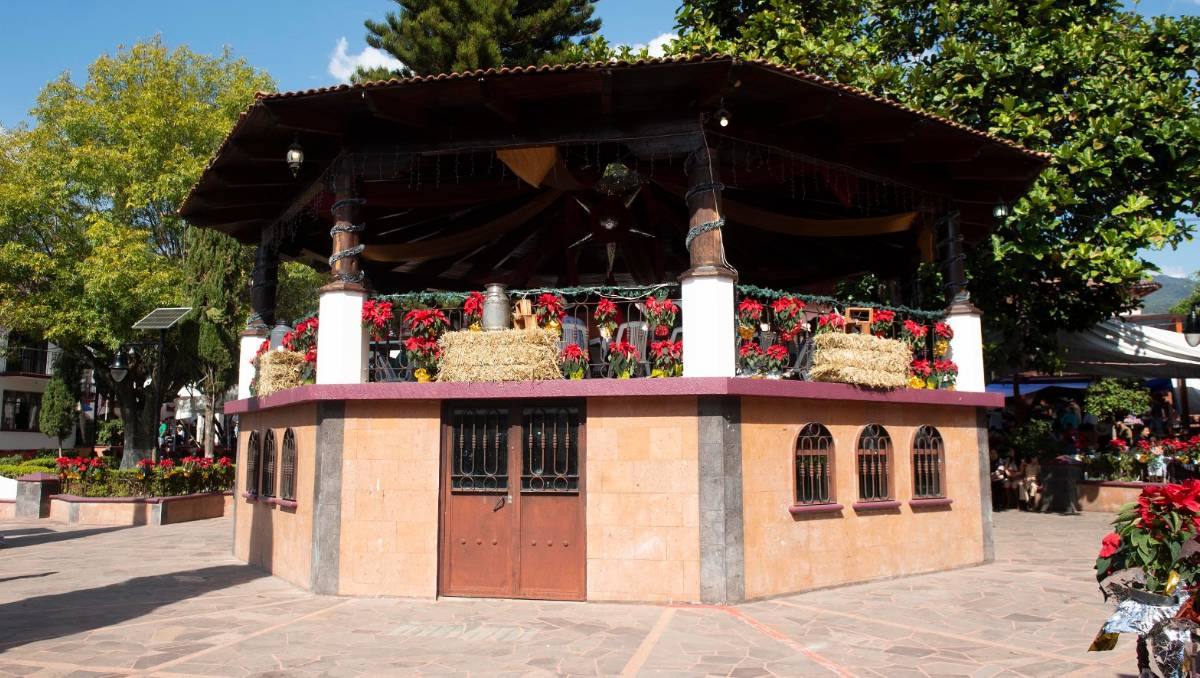 ¿Listo para la feria del queso añejo en Zacazonapan? Descubre su magia y tradición