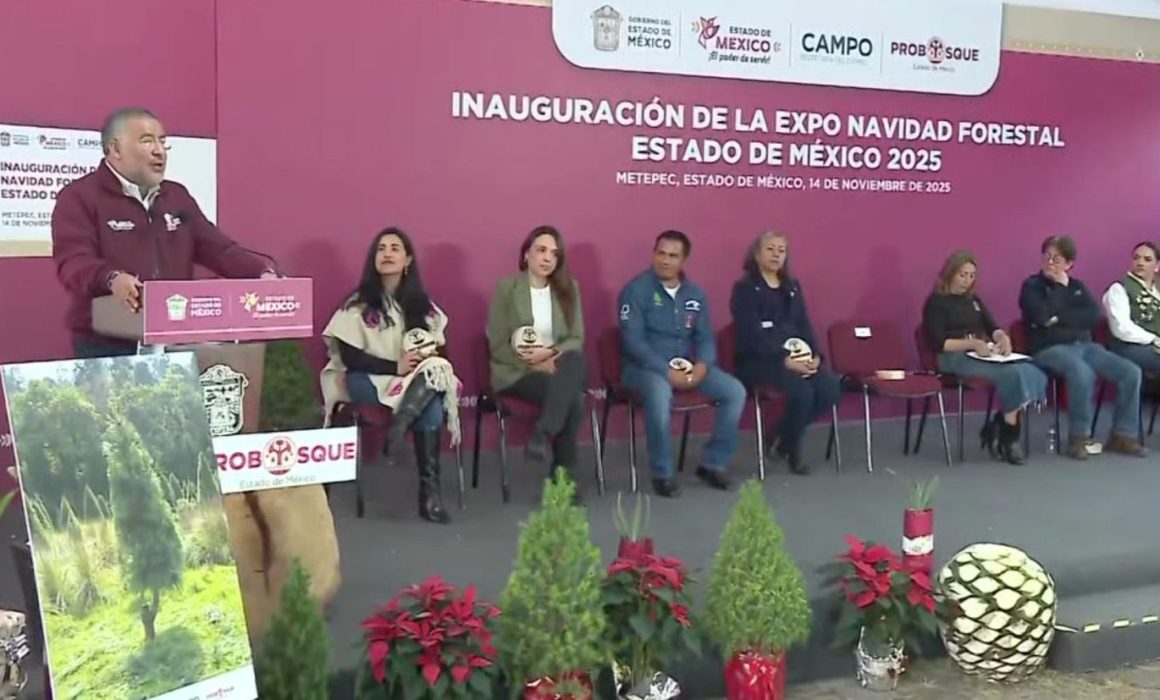 ¿Listo para vivir la magia navideña? La sorprendente Expo Navidad Forestal 2025 en Edomex te espera
