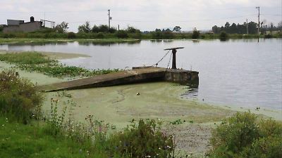 Lluvias de mayo mejoran la sequía en el Estado de México