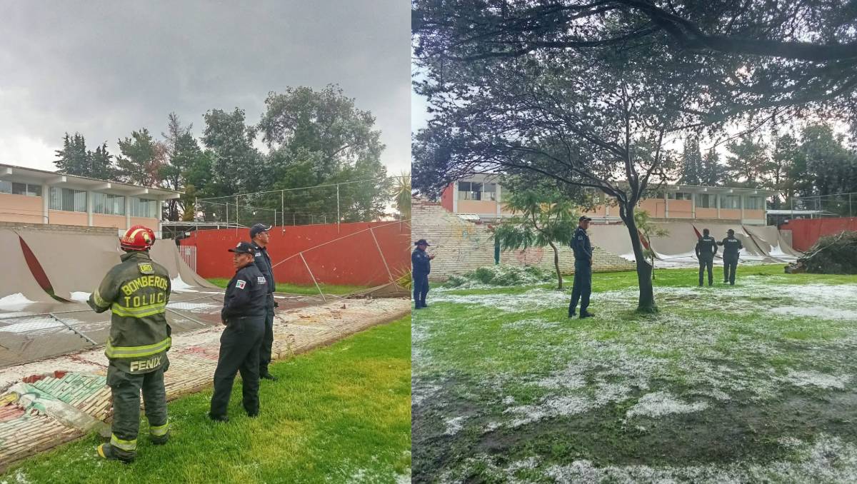 Lluvias en Toluca causan encharcamientos, caída de árbol y cierre de calles