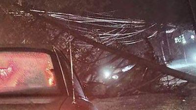 Lluvias generan encharcamientos y caída de árboles en Lerma; autoridades actúan para atender emergencias