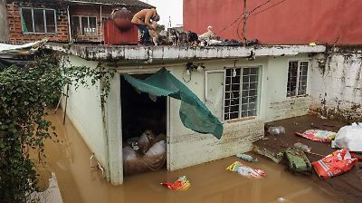 Lluvias torrenciales y fenómenos naturales dejan al menos 28 muertos y decenas de afectados en México