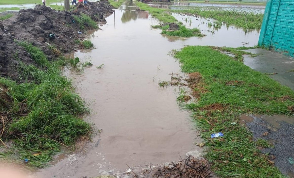 Lluvias y granizadas generan caos en Toluca: árboles caídos, inundaciones y autos hundidos