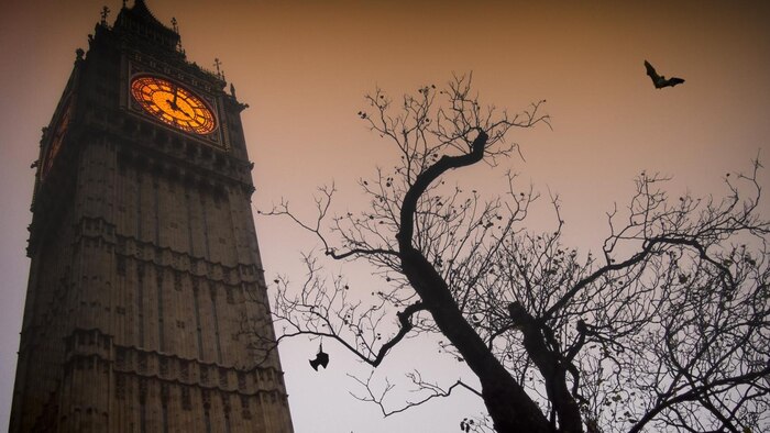 Los 10 tours más aterradores para celebrar Halloween en el mundo