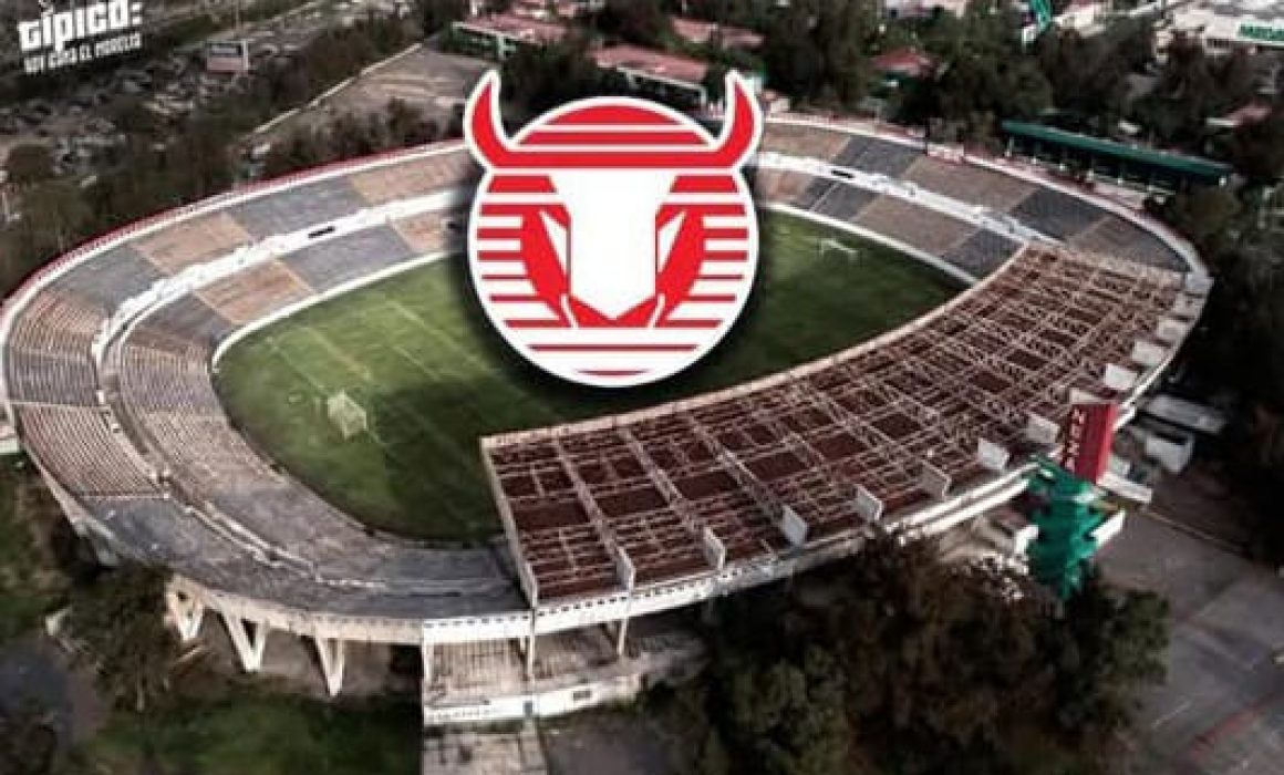 Los Toros Neza regresan a la Liga Premier y sueñan con el ascenso